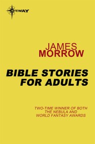 Bible Stories for Adults