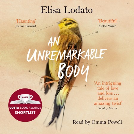 An Unremarkable Body