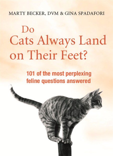 Do Cats Always Land on Their Feet?