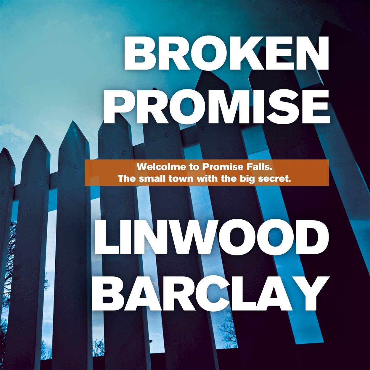 linwood barclay promise falls series