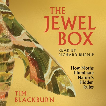 The Jewel Box