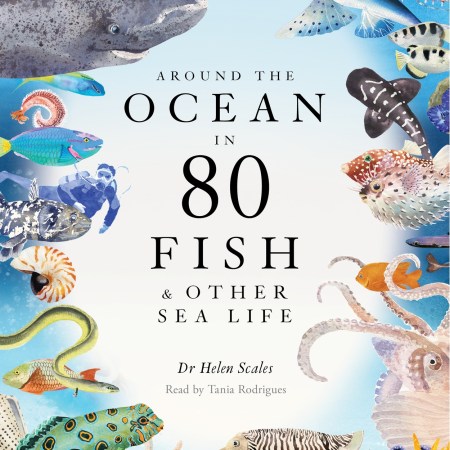 Around the Ocean in 80 Fish and other Sea Life