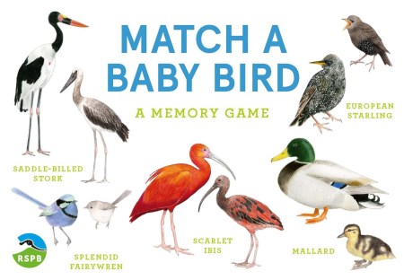 Match a Baby Bird